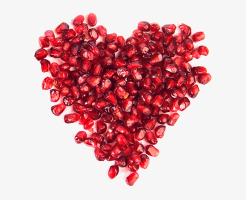 Ethics - Rabbit Haemorrhagic Disease, transparent png download