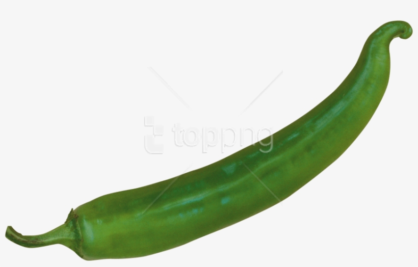 Free Png Pepper Png Images Transparent - Green Chili Pepper Png, transparent png download
