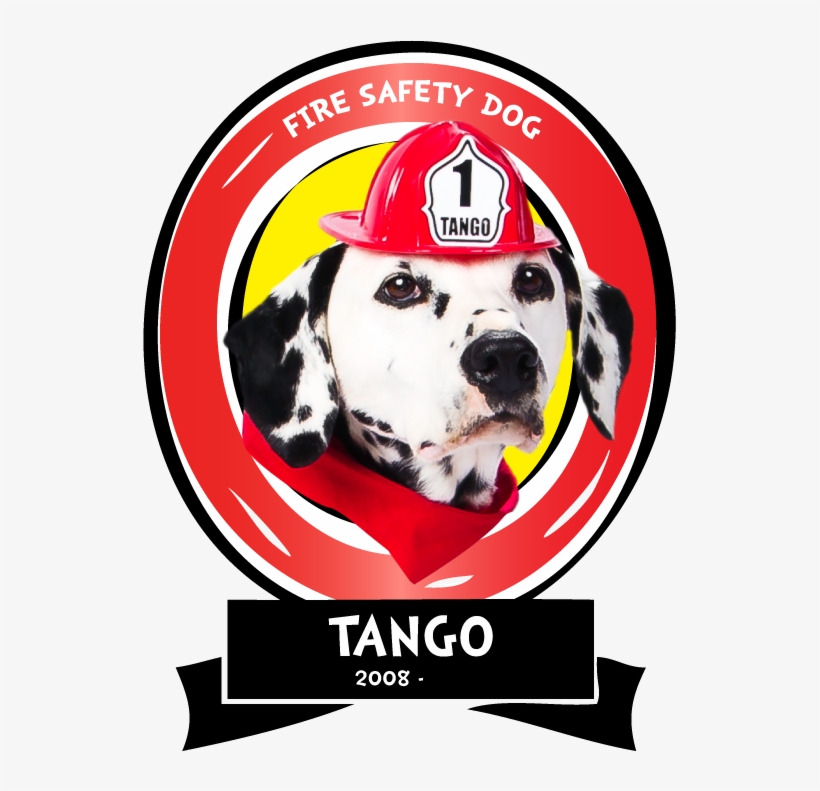 Spanner And Sparkles' Hit It Off Perfectly The Very - Dalmatian, transparent png download