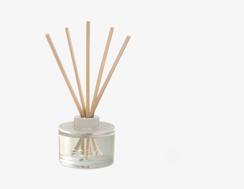 Trophy, transparent png download