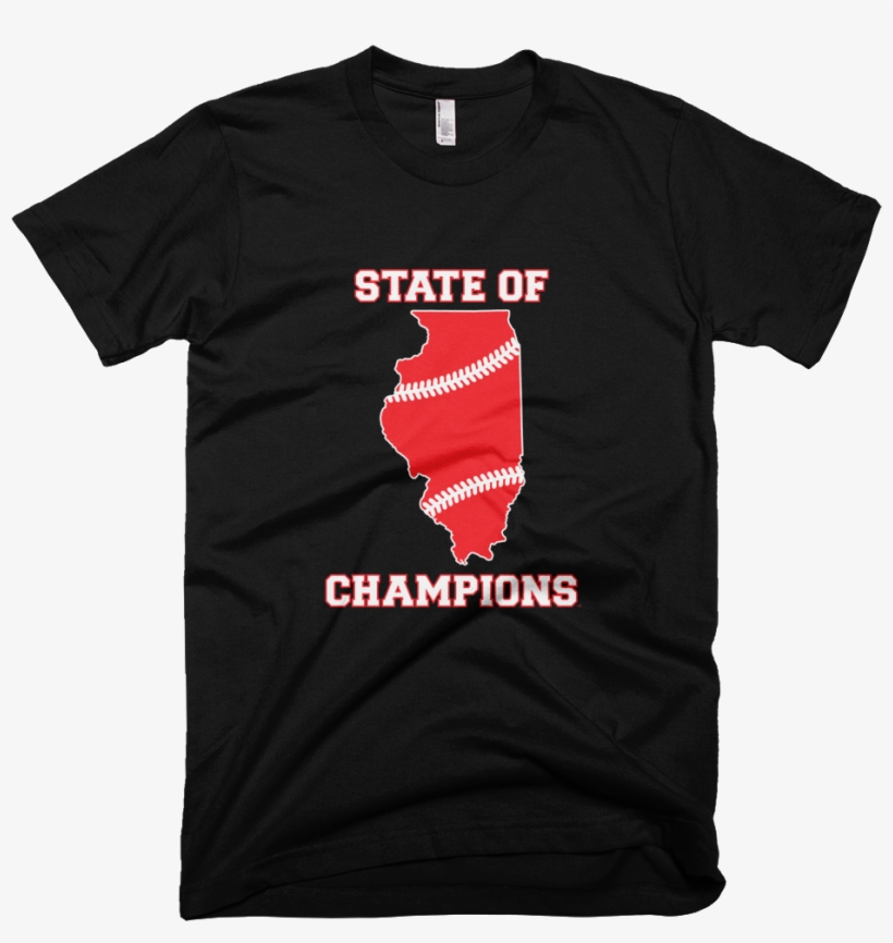 State Of Champions Illinois Baseball Stitches T-shirt - They Want Our Rhythm But Not Our Blues, transparent png download