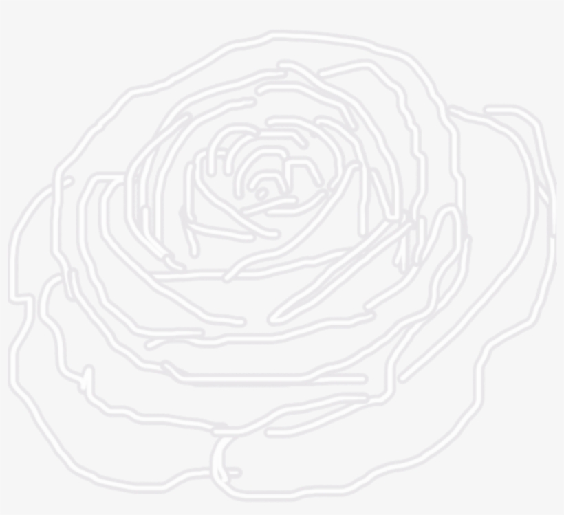 Garden Roses, transparent png download