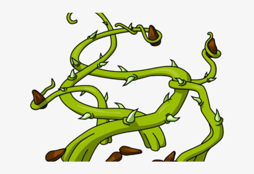 Seeds In Thorns, transparent png download