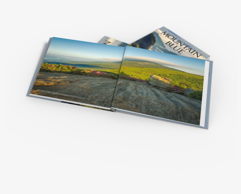 Les Saucier & Janet Garrity Saucier - Painting, transparent png download