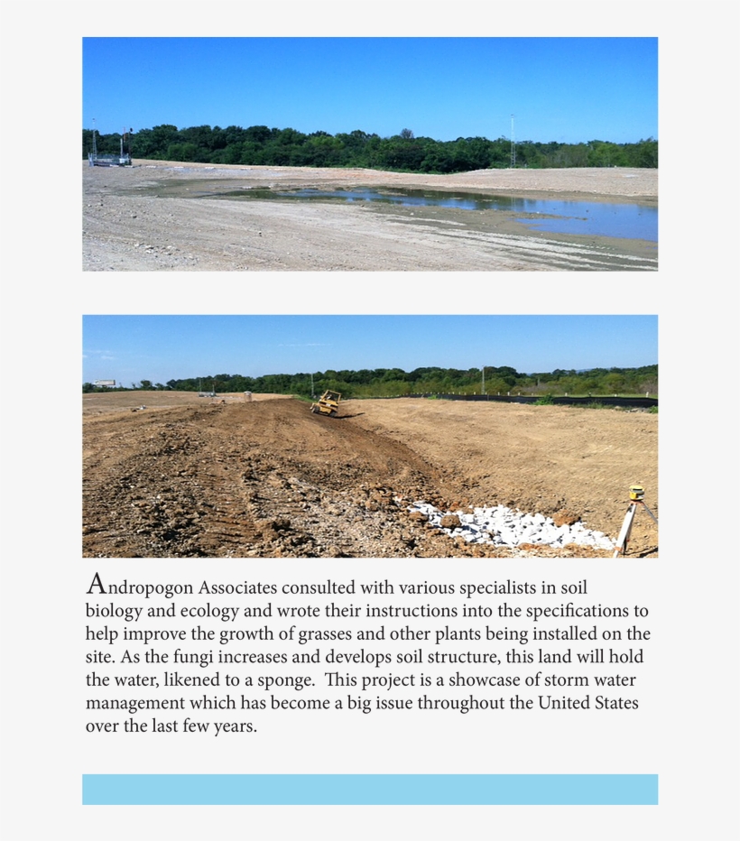 Chattanooga-2 - Freshwater Marsh, transparent png download