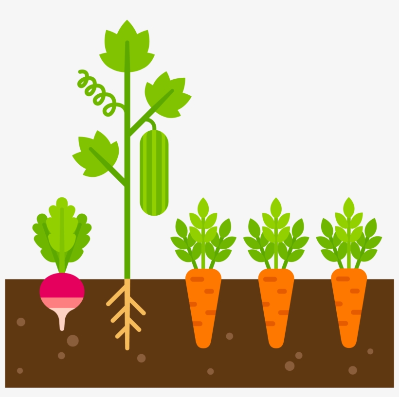 Seeds Clipart Healthy Soil Cartoon Vegetables In The Ground Png Image Transparent Png Free Download On Seekpng