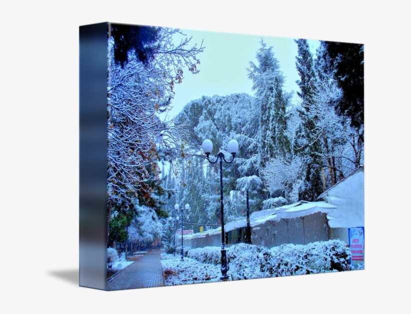 Freshly Falling Snow By - Snow, transparent png download