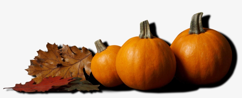 Pumpkins - Thanksgiving Backgrounds, transparent png download