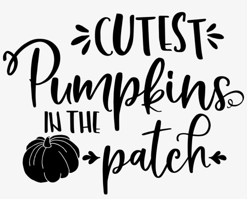 Cuttest Pumpkins In The Patch - Pumpkin, transparent png download