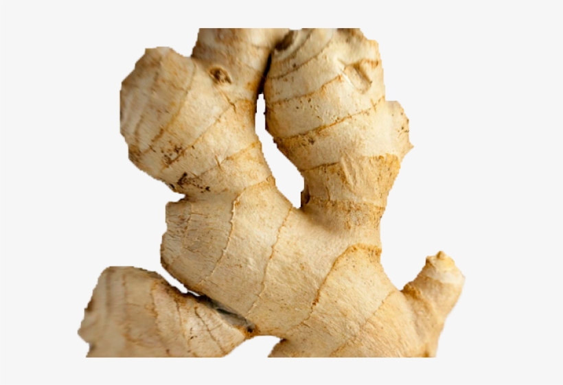 Ginger Clipart Transparent - Ginger Pack On Chest, transparent png download