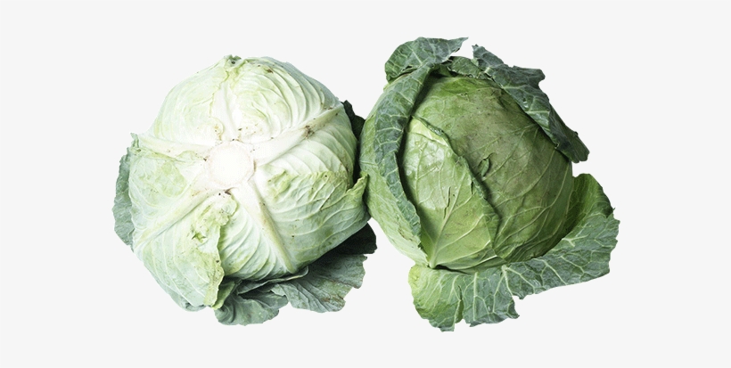 Brussels Sprout, transparent png download