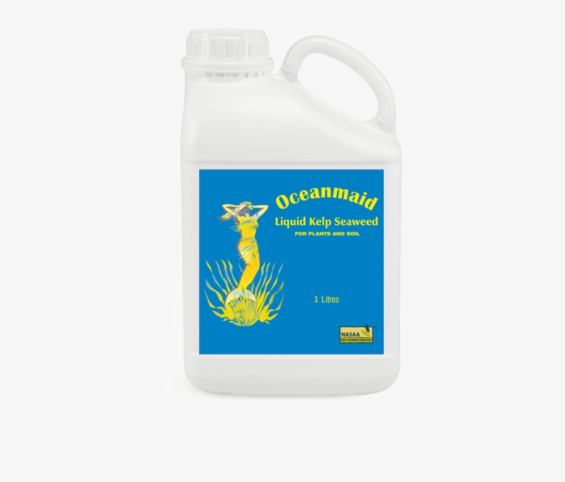 Liquid Kelp Seaweed - Water Bottle, transparent png download