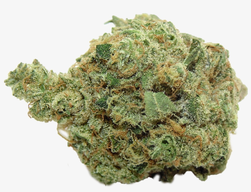 Kings Garden Banana Og PNG Image Transparent PNG Free Download on SeekPNG