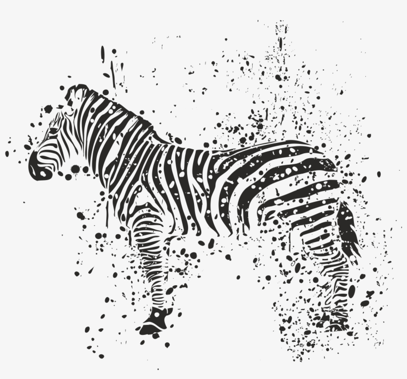 Zebra Pwp - Zebra, transparent png download