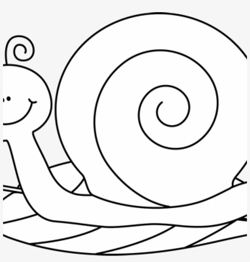 Snail Clipart Black And White