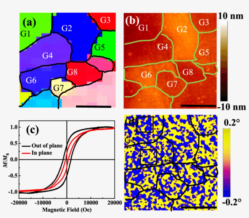 The Color Coded Inverse Pole Figure Map For The 30 - Art, transparent png download