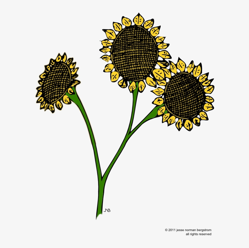 Here - Sunflower, transparent png download