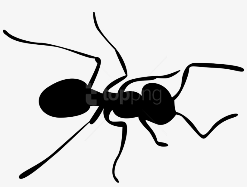 Free Png Download Ants Clipart Png Photo Png Images - Silhouette Ant, transparent png download