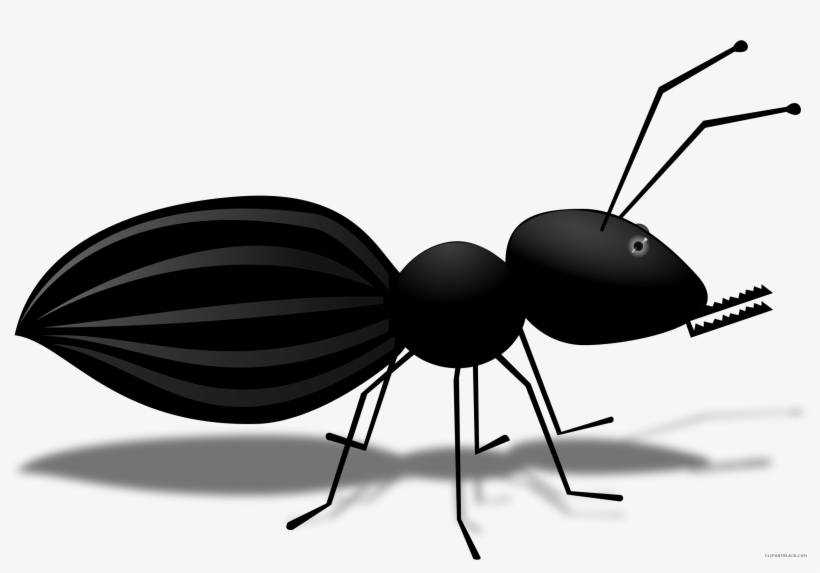 Ant Cartoon Animal Free Black White Clipart Images - Macam Macam Bentol Gigitan Serangga, transparent png download