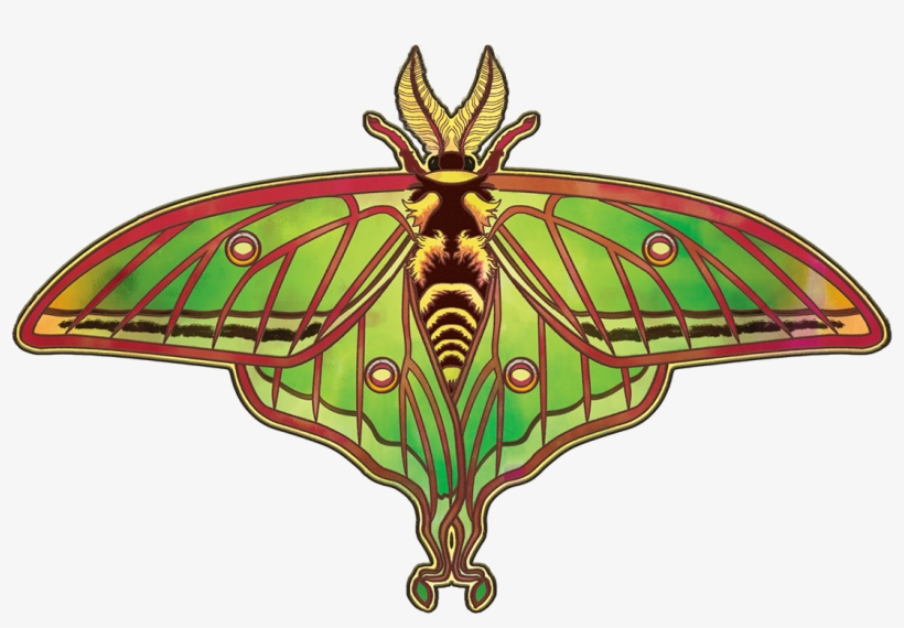 Spanish Luna Moth - Swallowtail Butterfly, transparent png download