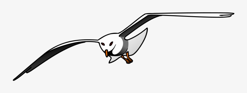 Medium Image - Seagull Clipart, transparent png download