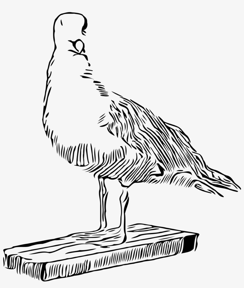 Big Image - Turkey, transparent png download