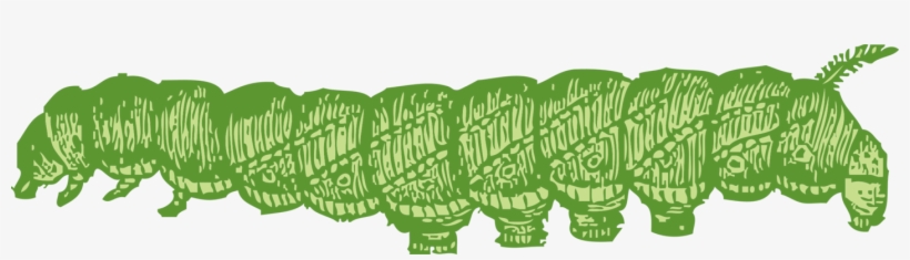 Download Similars - Caterpillar Gif File Png, transparent png download