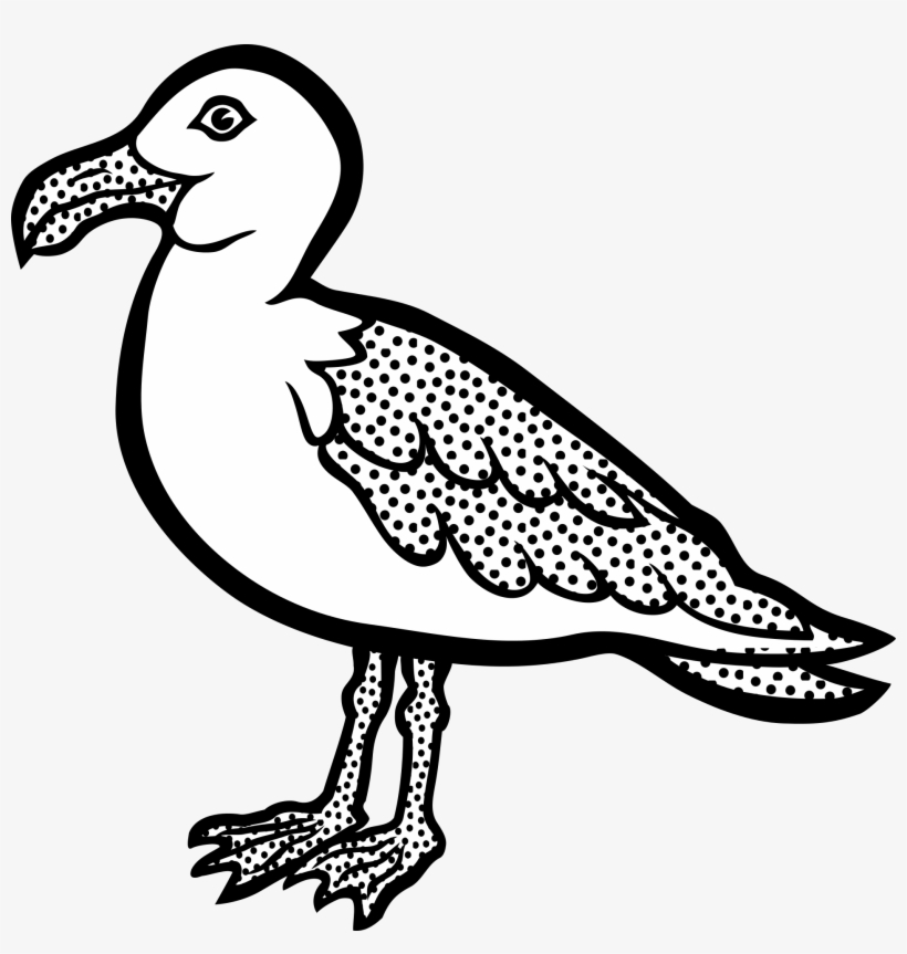 Black And White Drawing Of A Seagull - Seagull Clipart Black And White, transparent png download