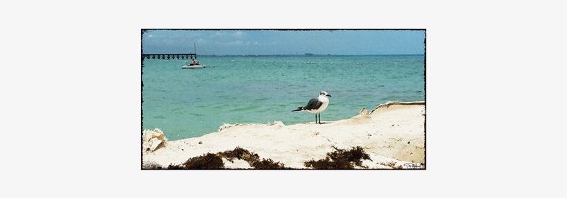 Sea, transparent png download