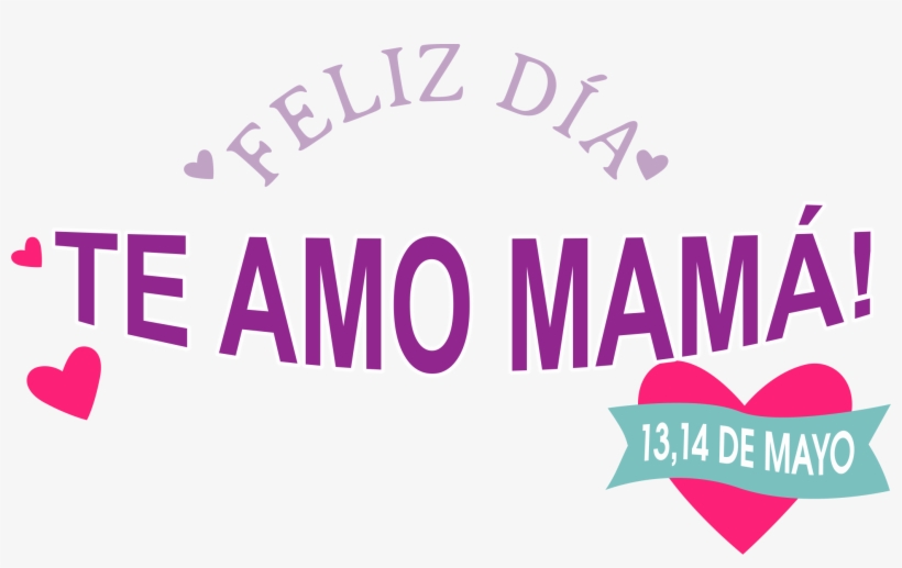 De Flores Y Colores, transparent png download