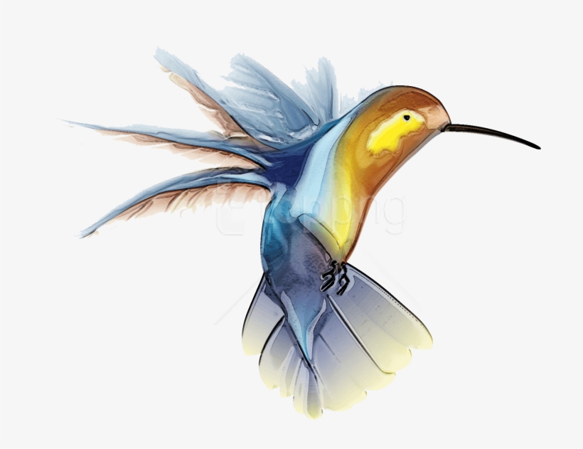 Free Png Download Hummingbird Tattoo Png Images Background - Transparent Hummingbird, transparent png download