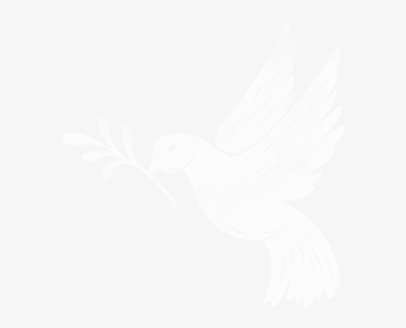 Pigeons And Doves, transparent png download