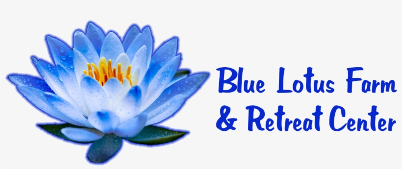 Blue Lotus Utopia Origin, transparent png download