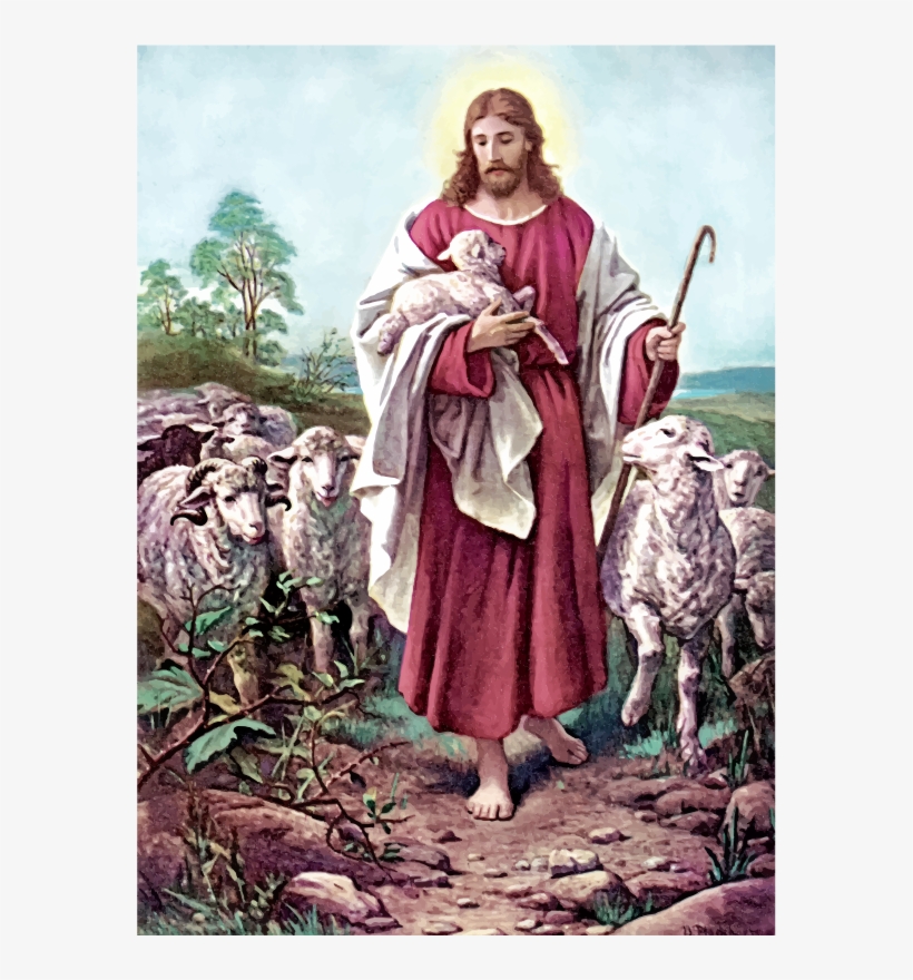 Medium Image - Good Shepherd Jesus, transparent png download