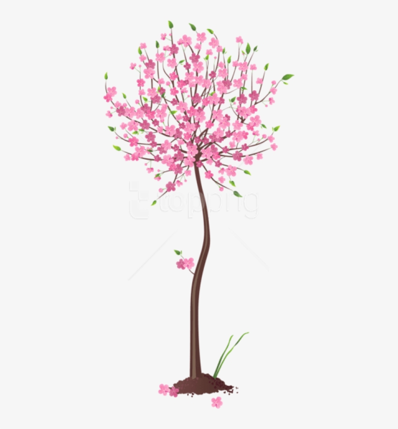 Free Png Spring Pink Tree Png Images Transparent - Pink Tree Png Clipart, transparent png download