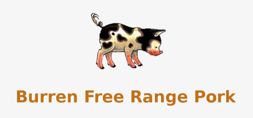Burren Free Range Pork Farm - Domestic Pig, transparent png download