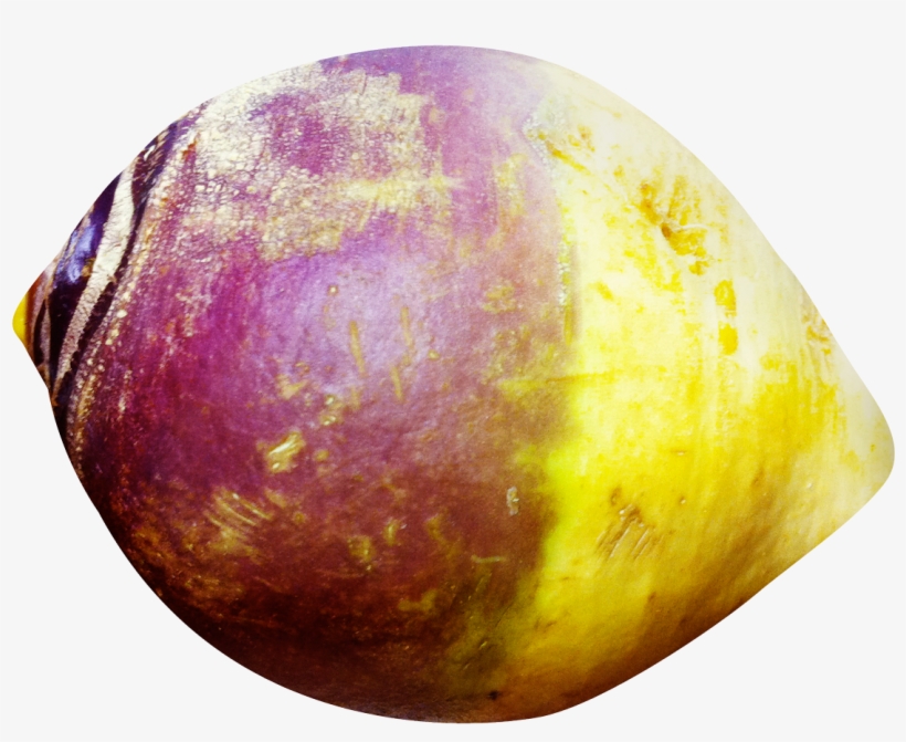 Download Png - Rutabaga Png, transparent png download