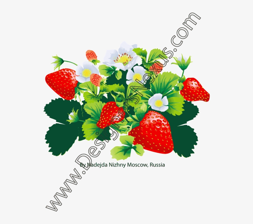 Grape Vine Clipart Etc Image - Fashion Illustration, transparent png download