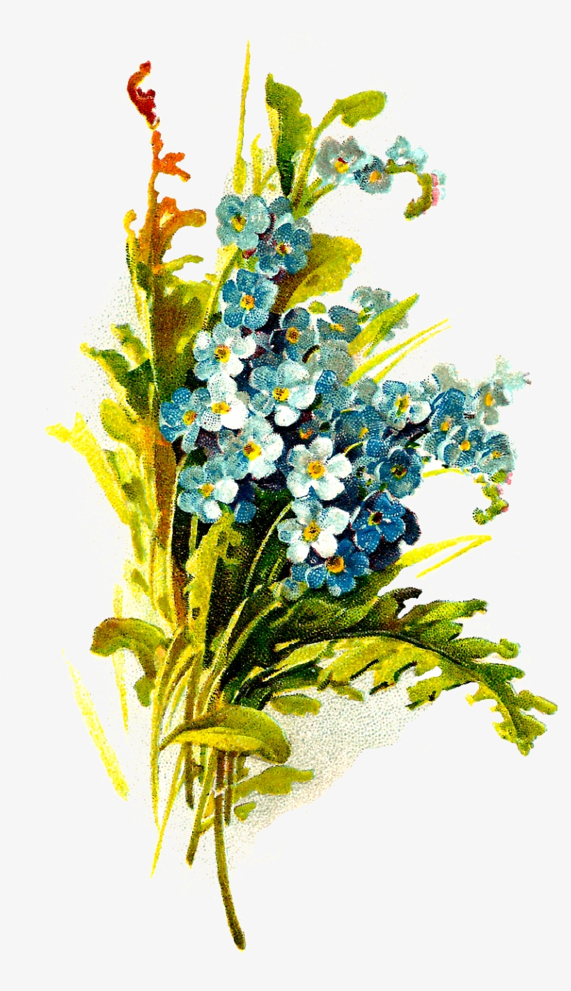 Digital Wildflower Image - Heath Aster, transparent png download