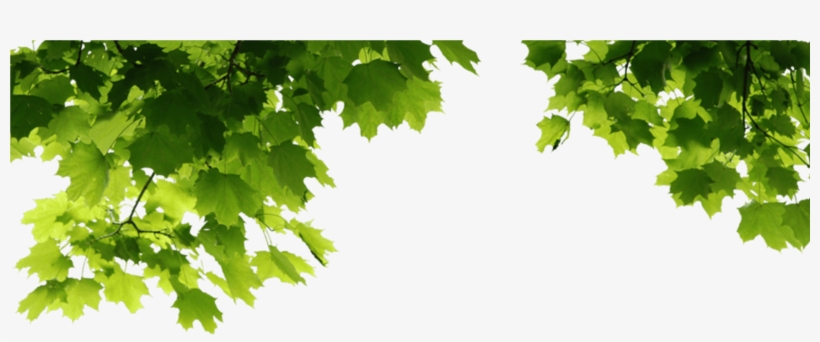 Outdoor Portrait Manipulation - Png Images For Manipulation, transparent png download