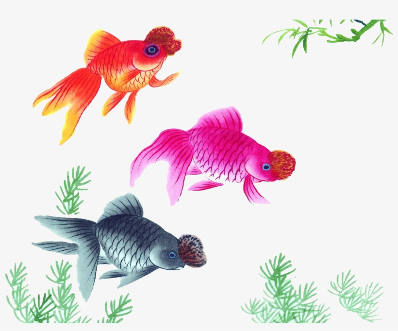 1920 X 1440 6 - Goldfish Watercolor Png, transparent png download