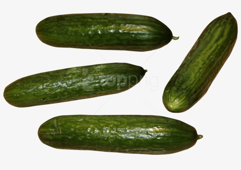 Free Png Cucumber Png Images Transparent - Cucumber, transparent png download