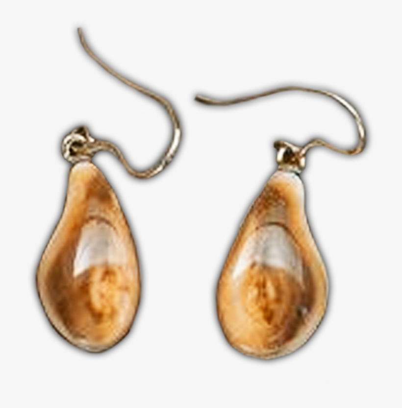Elk Ivory Earrings - Earrings, transparent png download