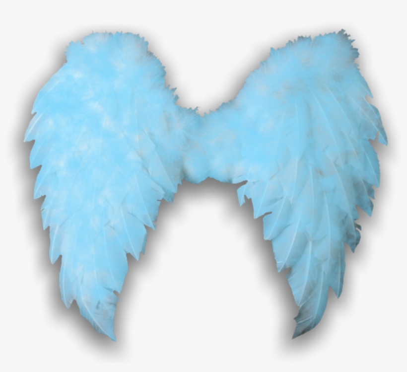 #angelwings #angels #angel #wings #feathers #fly #costume - Graphic Design, transparent png download