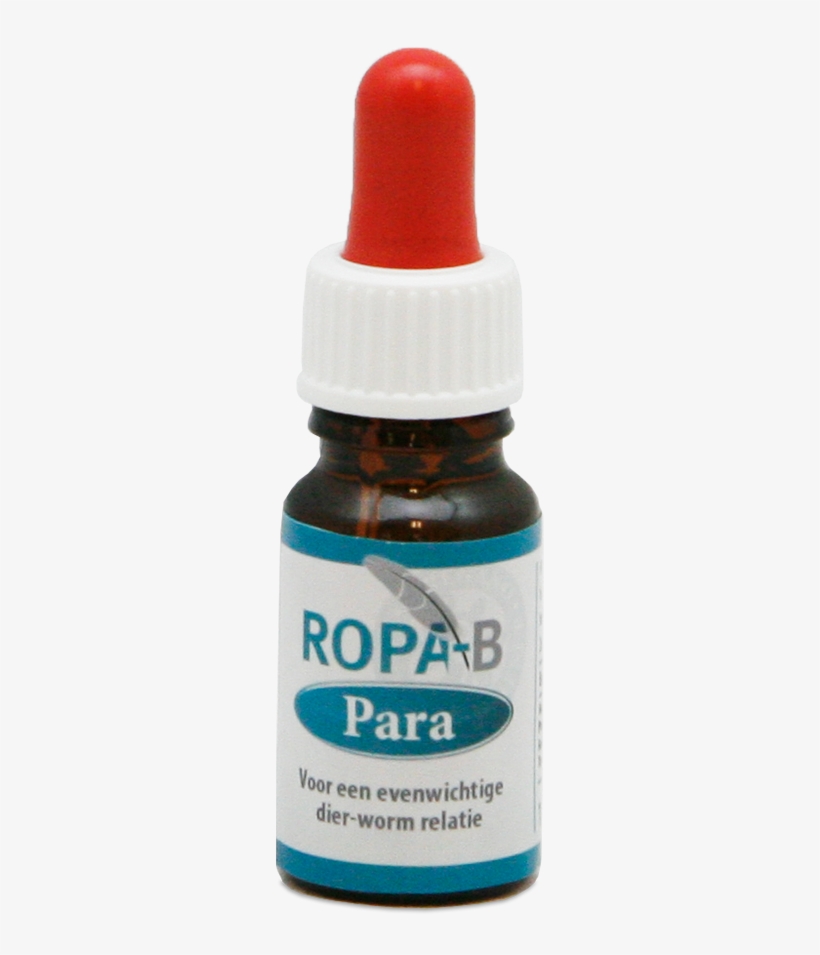 Global Pigeon Supplies - Glass Bottle, transparent png download