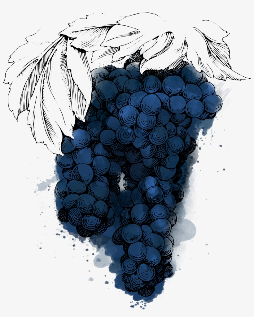 Rkatsiteli Is One Of The Most Important Grapes Grown - Grape, transparent png download