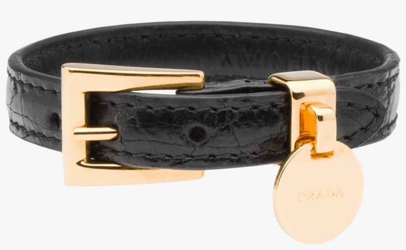 Belt, transparent png download