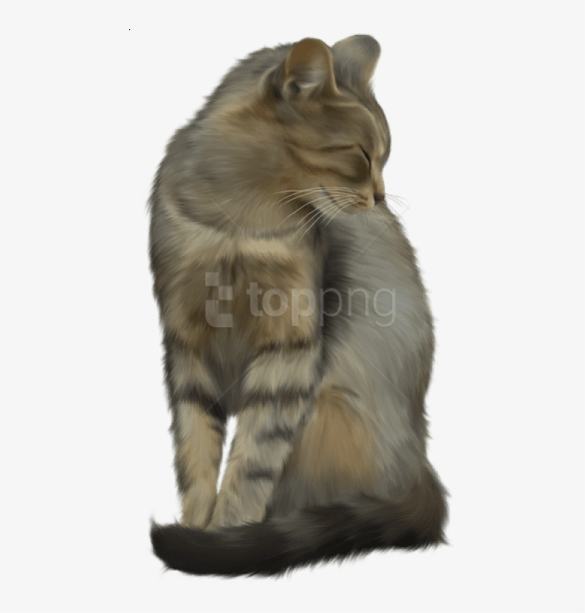 Free Png Images - Cat, transparent png download