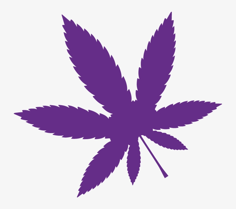 “ Shark Tank Cannabis” - Illustration, transparent png download