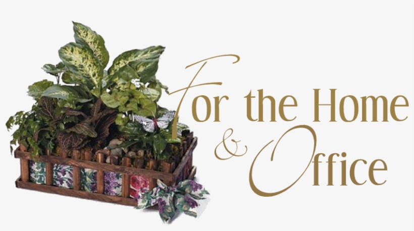 Dish Garden Designs, transparent png download